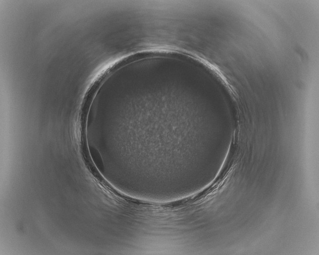 X0000115521319200911201651