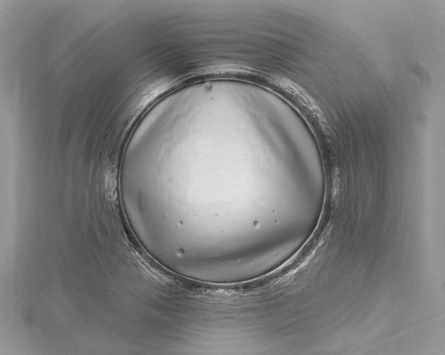 X0000115521321200911201651