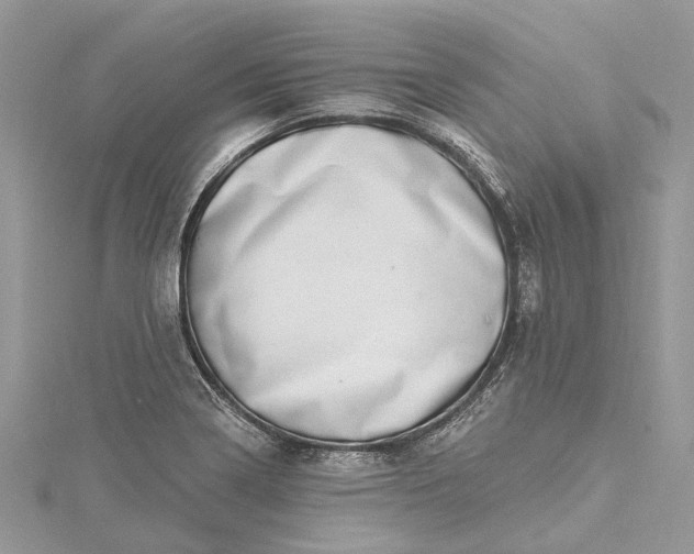 X0000115521322200911201651