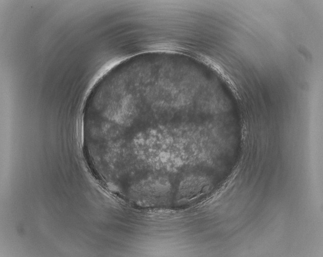 X0000115521323200911201651