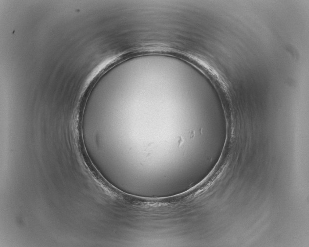 X0000115521325200911201651