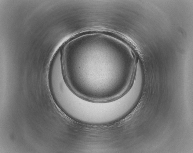 X0000115521326200911201651