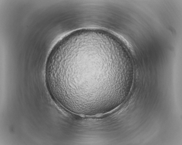 X0000115521327200911201651