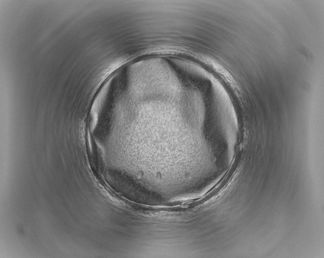 X0000115521329200911201651