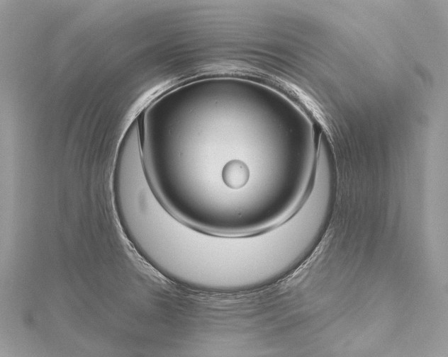 X0000115521330200911201651