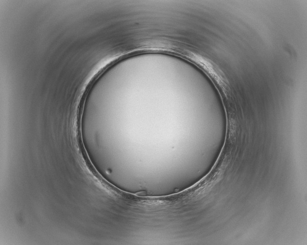 X0000115521331200911201651