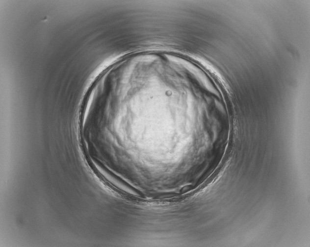 X0000115521333200911201651