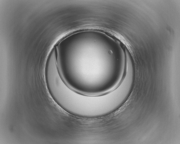 X0000115521334200911201651