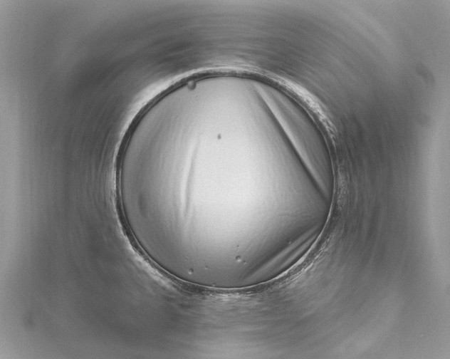 X0000115521335200911201651