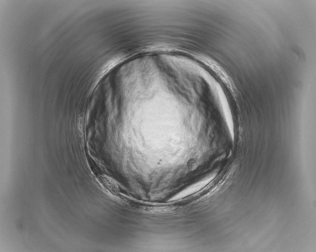 X0000115521337200911201651