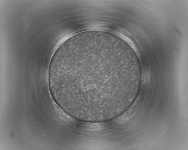 X0000115521338200911201651