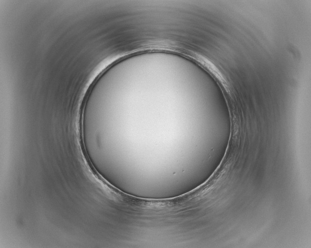 X0000115521339200911201651