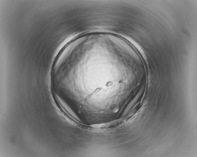 X0000115521341200911201651