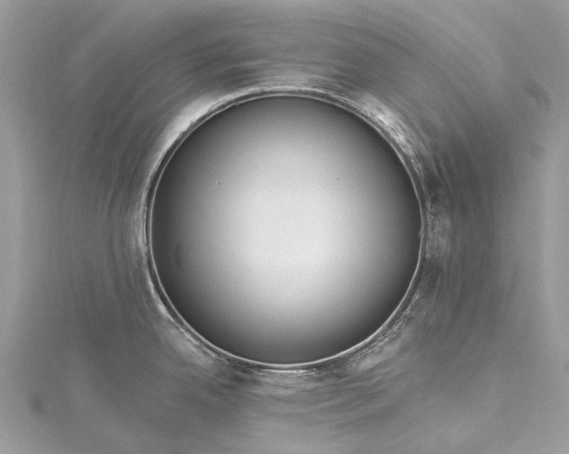 X0000115521342200911201651