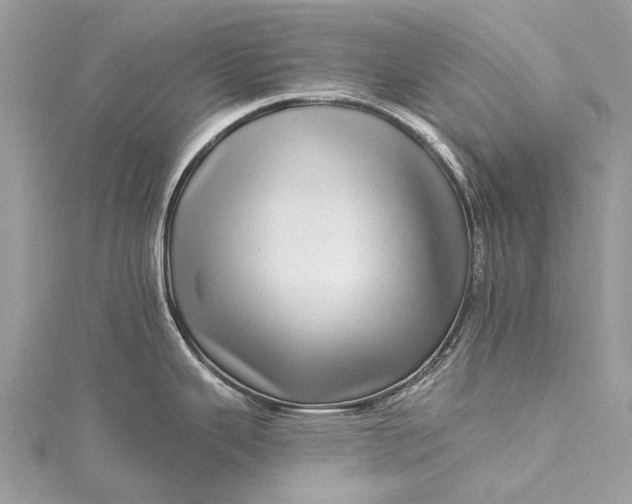 X0000115521343200911201651