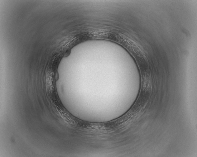 X0000115521346200911201650