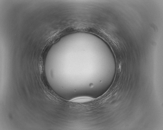 X0000115521348200911201650