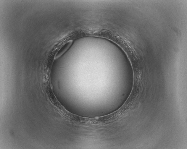 X0000115521349200911201650