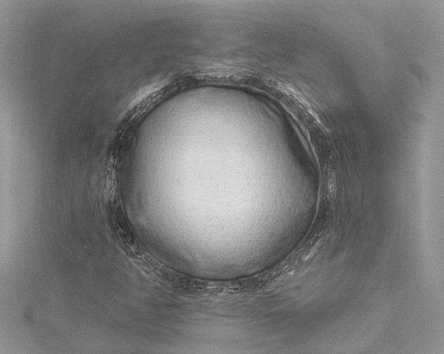 X0000115521350200911201650