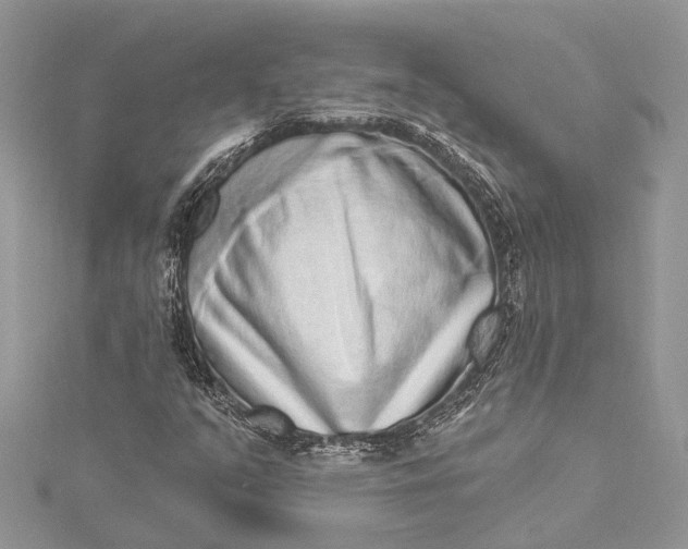 X0000115521351200911201650