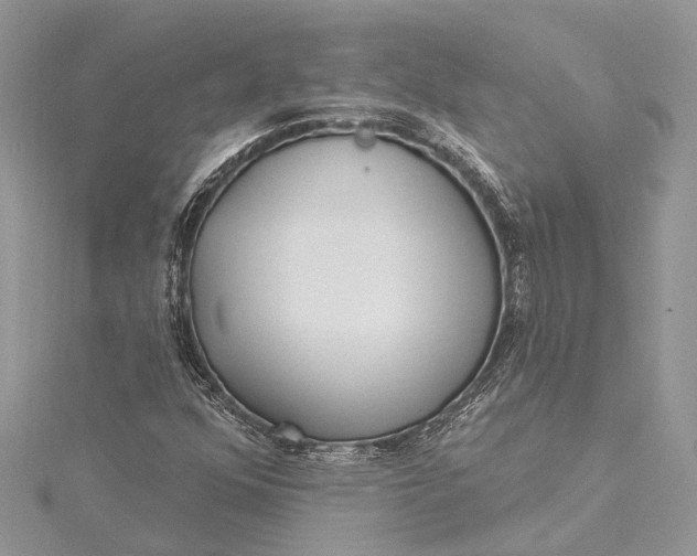 X0000115521352200911201650