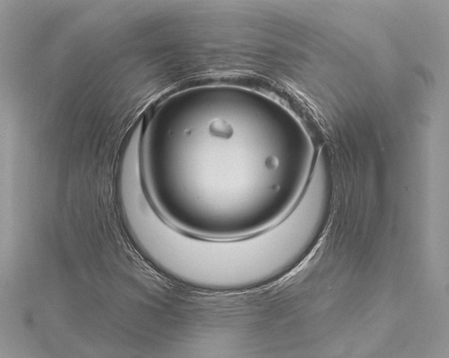 X0000115521353200911201650