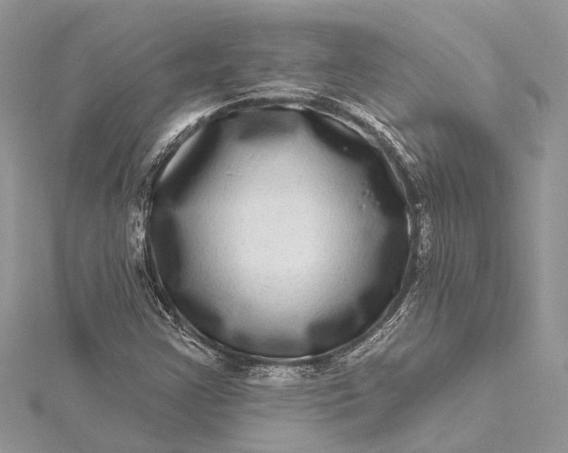 X0000115521355200911201650