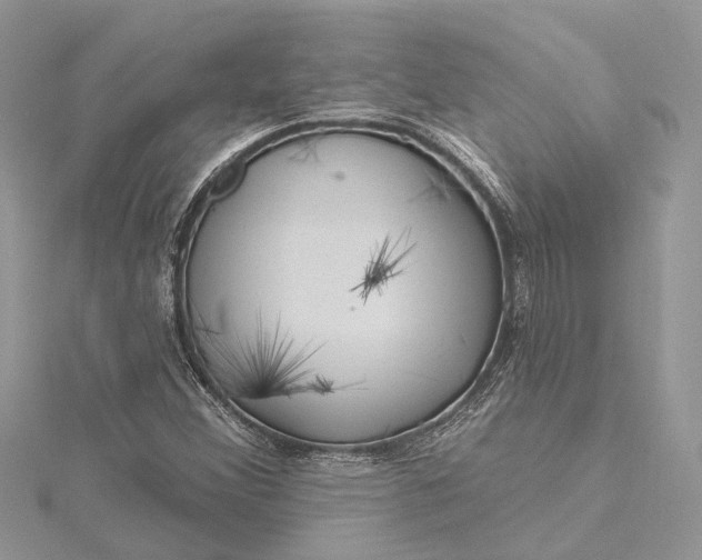 X0000115521356200911201650