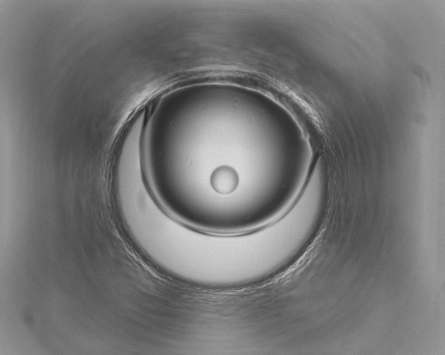 X0000115521357200911201650