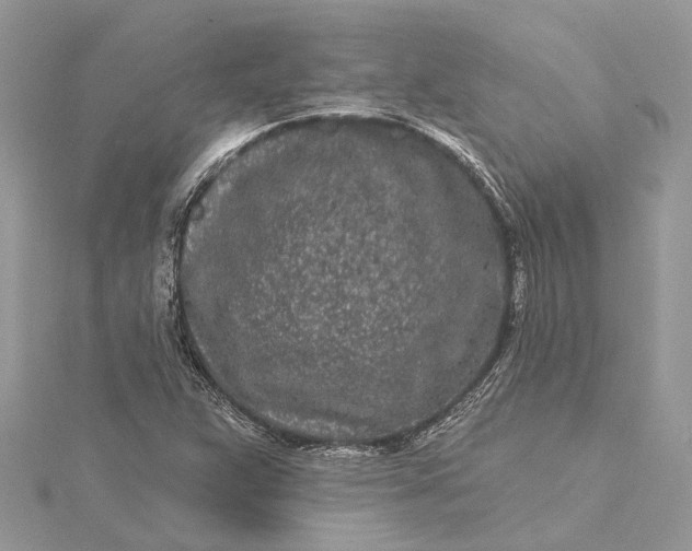 X0000115521359200911201650