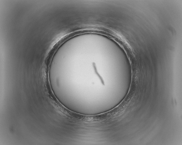 X0000115521360200911201650