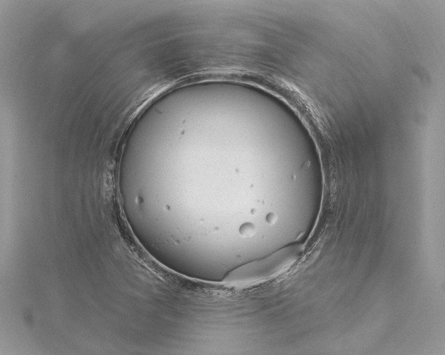 X0000115521361200911201650