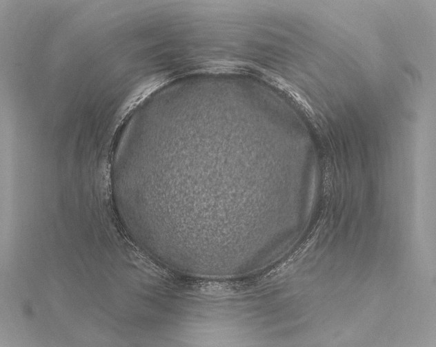 X0000115521362200911201650