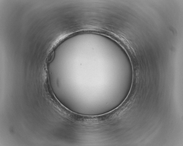 X0000115521363200911201650