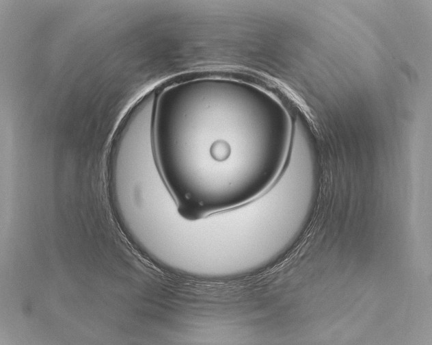 X0000115521364200911201650