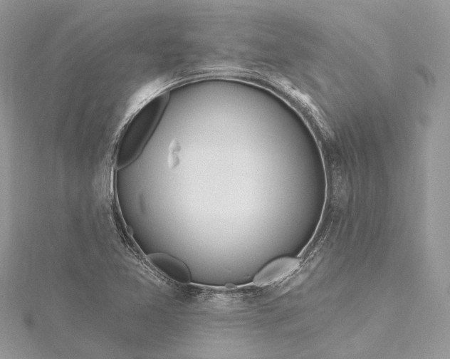 X0000115521365200911201650