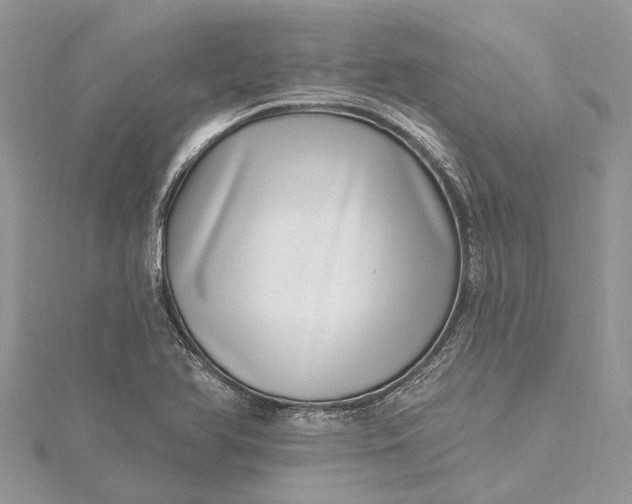 X0000115521366200911201650