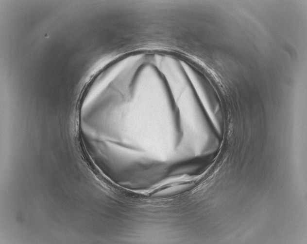 X0000115521367200911201650