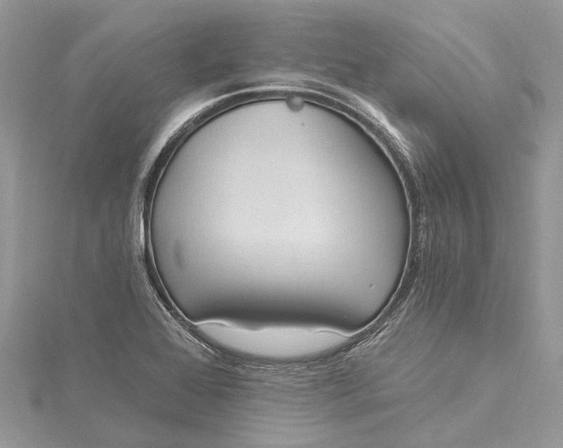 X0000115521368200911201650