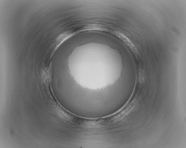 X0000115521369200911201650