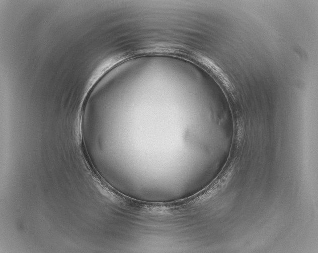 X0000115521370200911201650