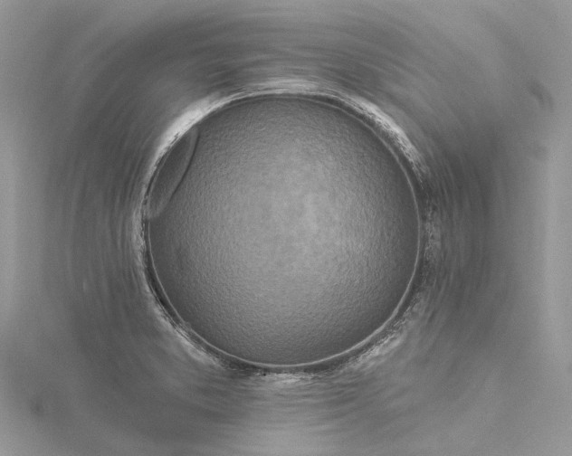 X0000115521373200911201650