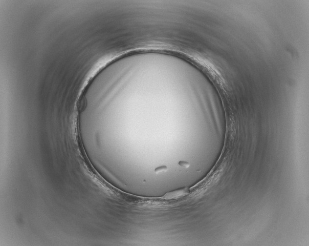 X0000115521374200911201650