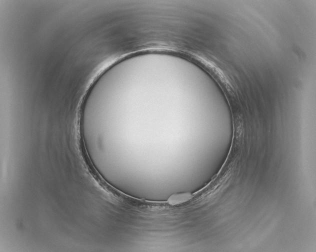 X0000115521375200911201650