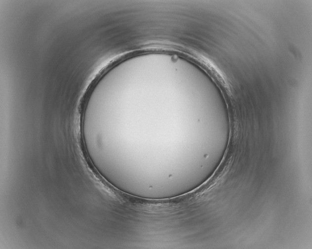 X0000115521376200911201650