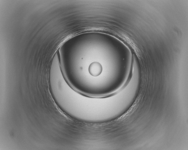 X0000115521377200911201650