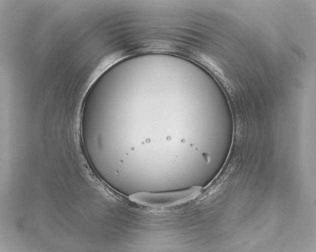 X0000115521378200911201650