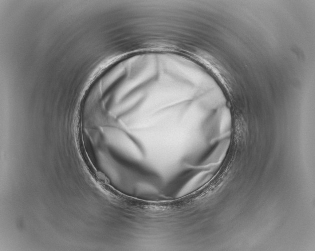 X0000115521379200911201650