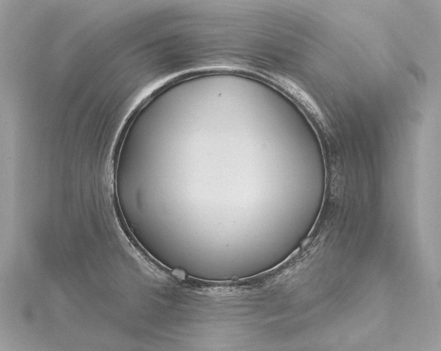 X0000115521380200911201650