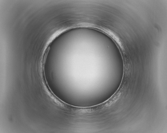 X0000115521381200911201650